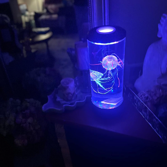 AquaSerene Jellyfish Lamp